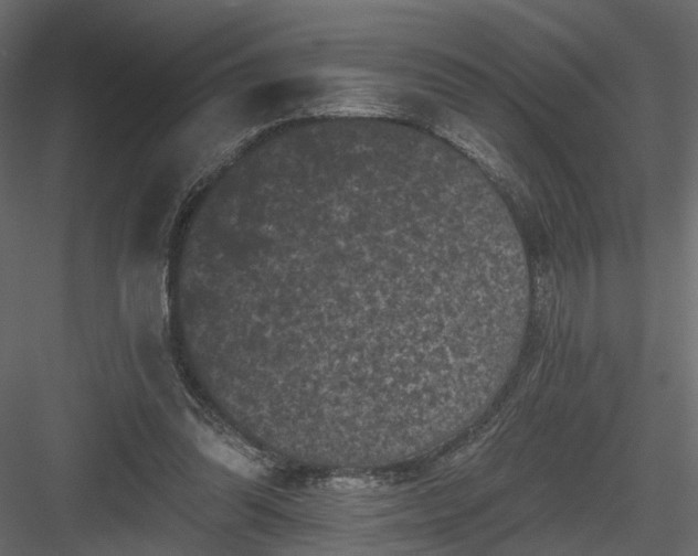 X0000084050302200702232358