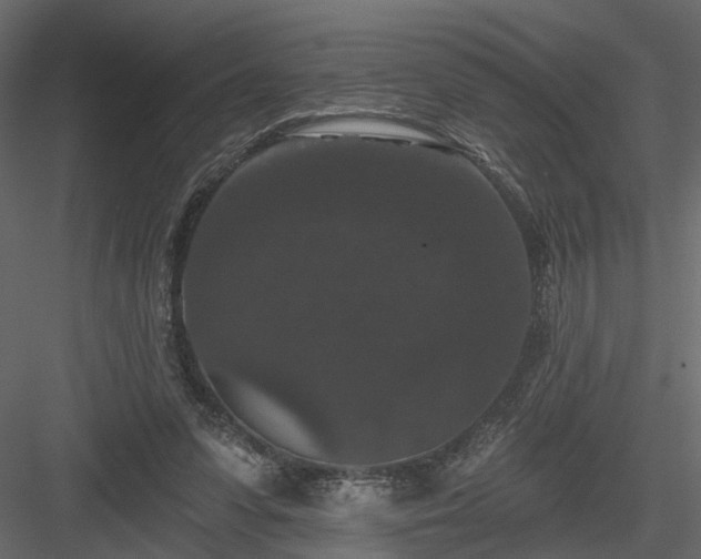 X0000084050303200702232358