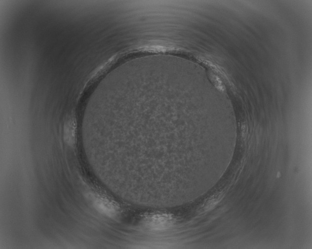 X0000084050304200702232358