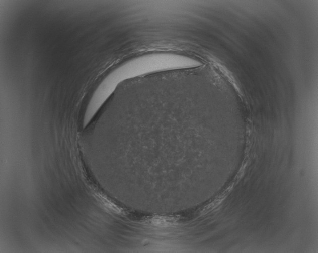 X0000084050305200702232358