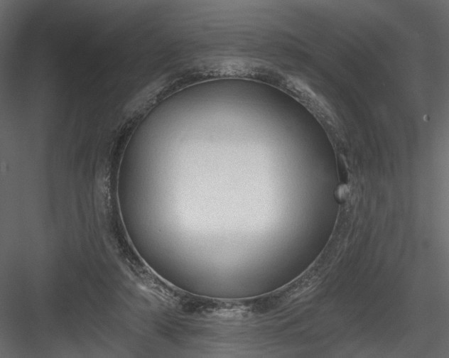 X0000084050306200702232358