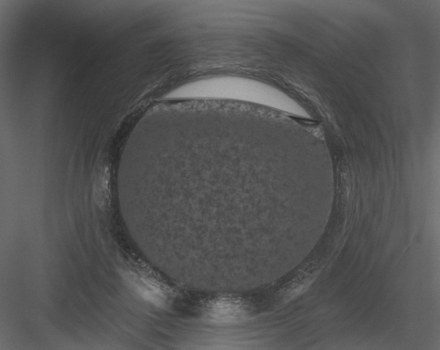 X0000084050308200702232358