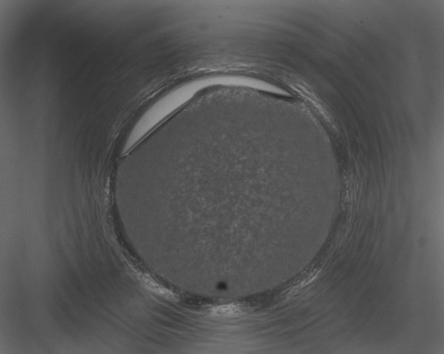 X0000084050309200702232358