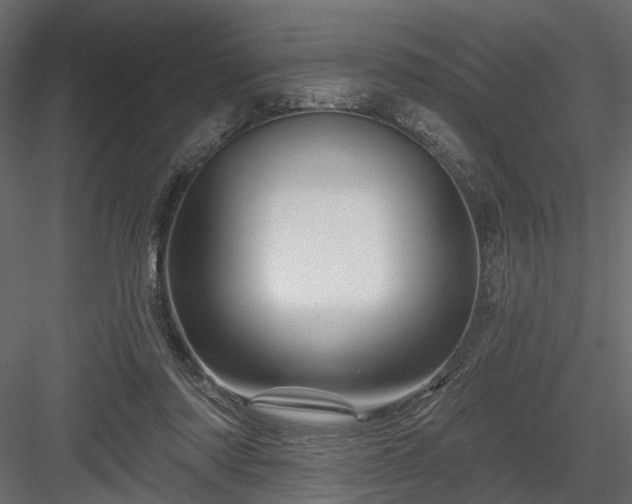 X0000084050310200702232358