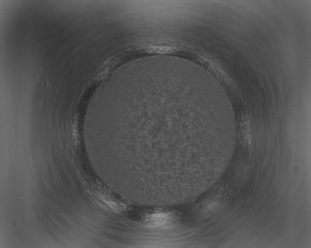 X0000084050312200702232358