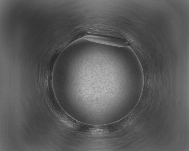 X0000084050315200702232358