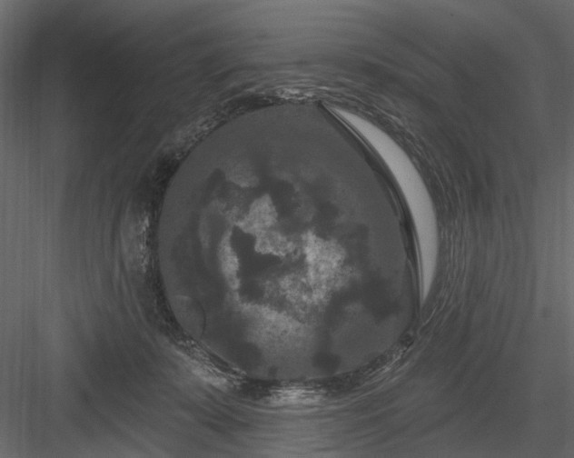 X0000084050319200702232358