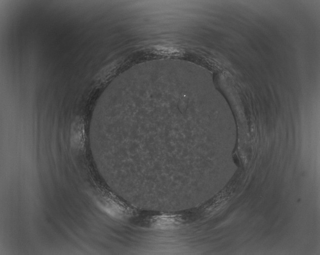 X0000084050320200702232358