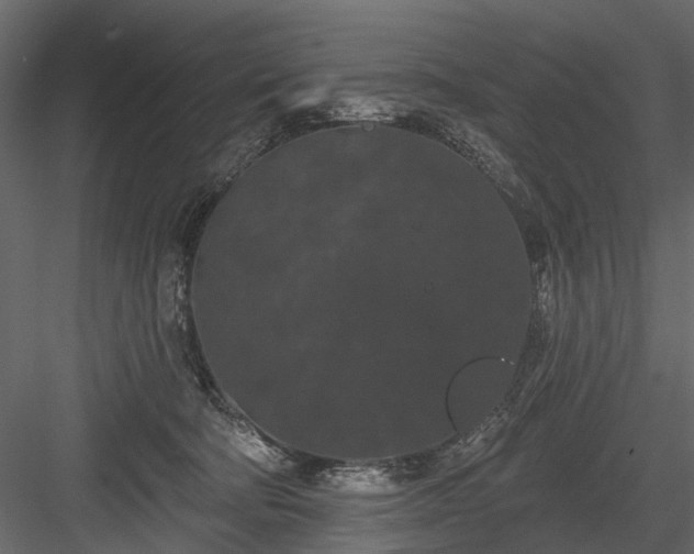 X0000084050322200702232358