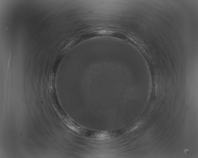 X0000084050325200702232358