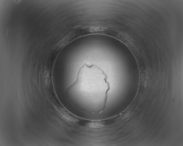 X0000084050327200702232358