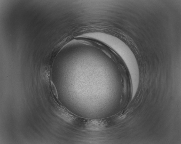 X0000084050329200702232358