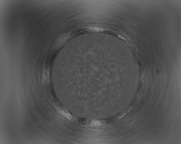 X0000084050330200702232358