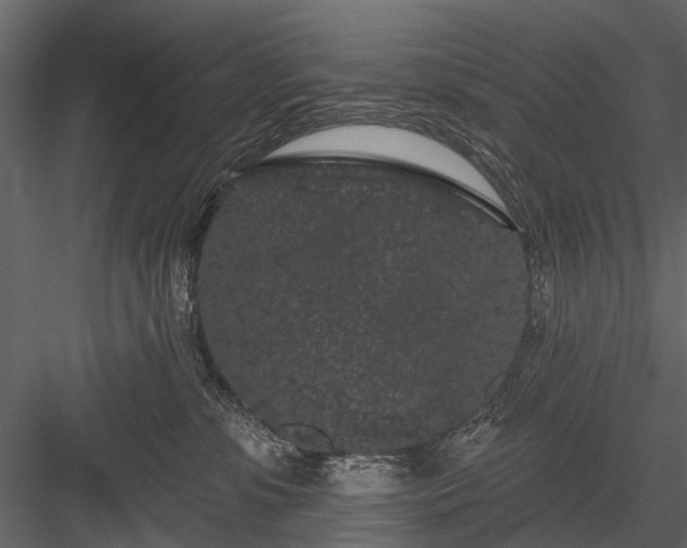 X0000084050331200702232358