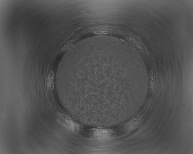 X0000084050332200702232358