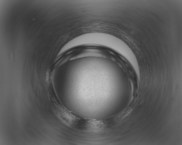 X0000084050333200702232358