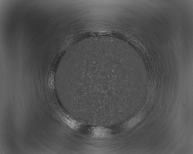 X0000084050336200702232358