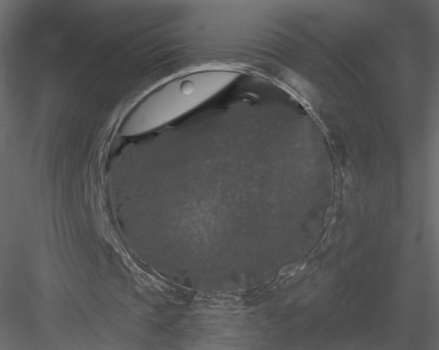 X0000084050337200702232357