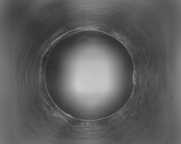 X0000084050338200702232357