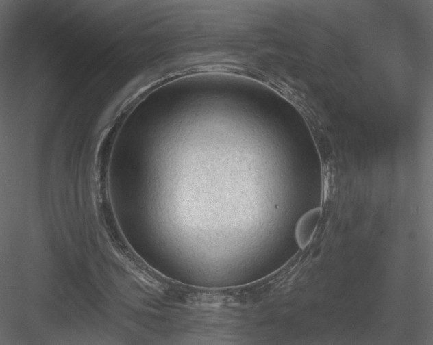 X0000084050339200702232357