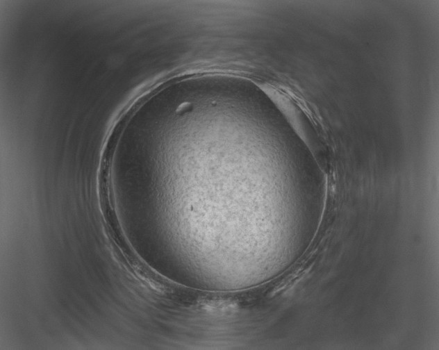 X0000084050340200702232357