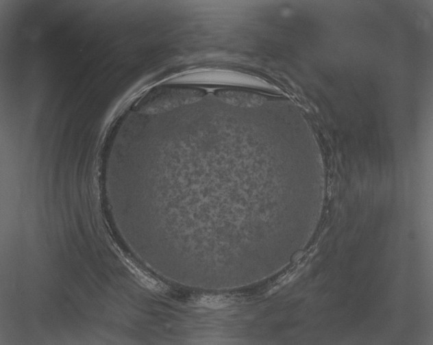 X0000084050341200702232357