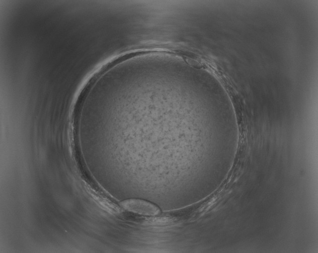 X0000084050342200702232357