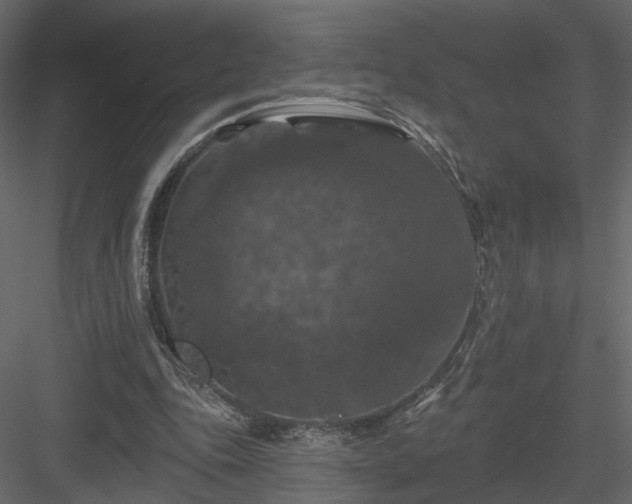 X0000084050343200702232357