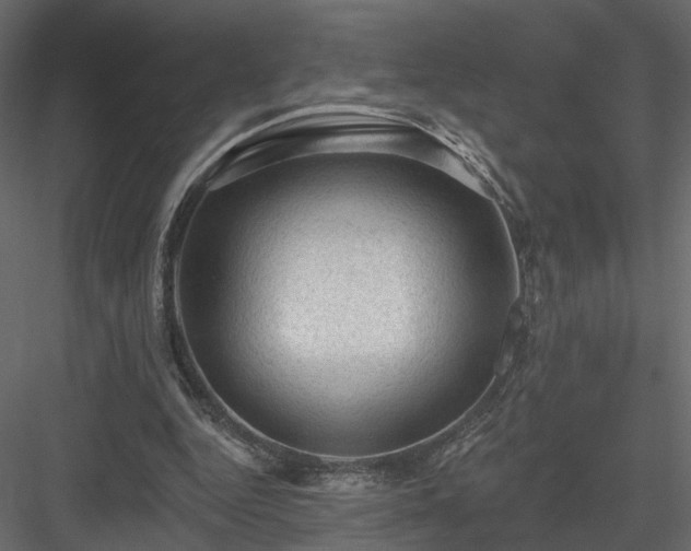 X0000084050344200702232357