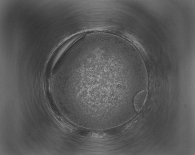 X0000084050346200702232357