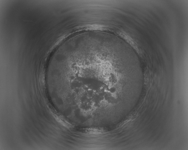 X0000084050347200702232357