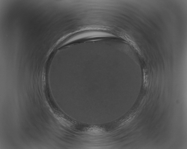 X0000084050348200702232357