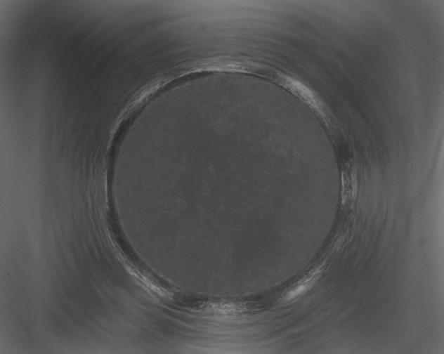 X0000084050349200702232357