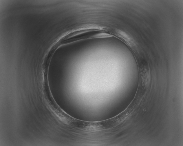 X0000084050350200702232357