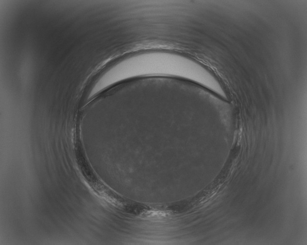 X0000084050352200702232357