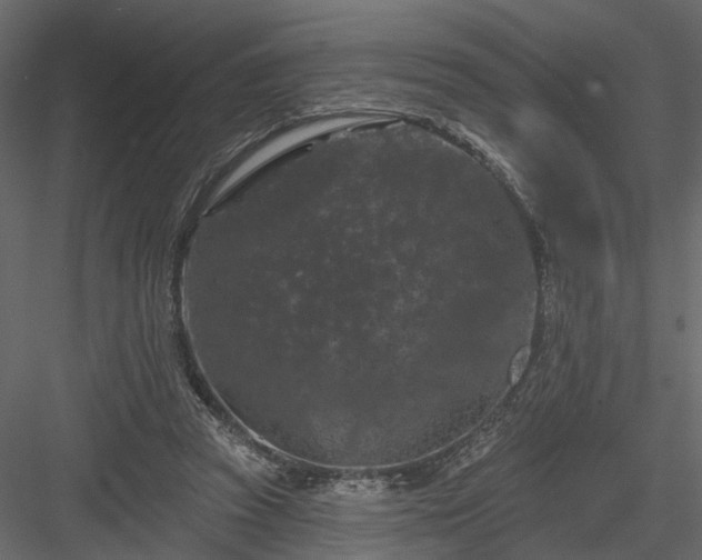 X0000084050353200702232357