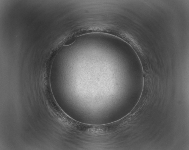 X0000084050354200702232357