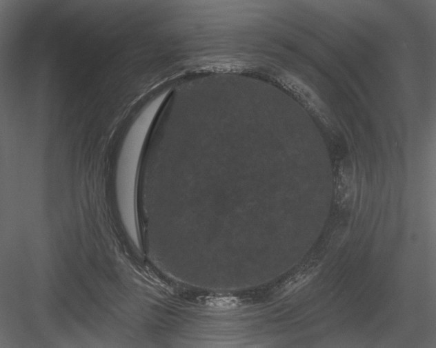 X0000084050355200702232357