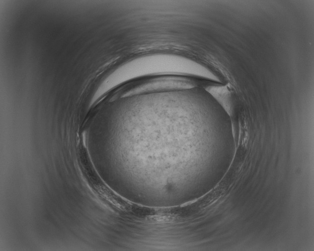 X0000084050356200702232357