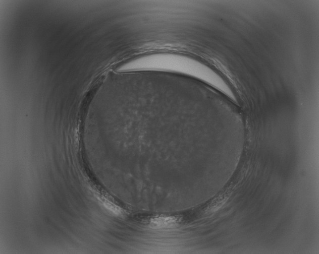 X0000084050357200702232357