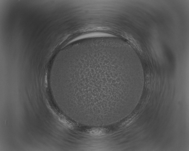 X0000084050358200702232357