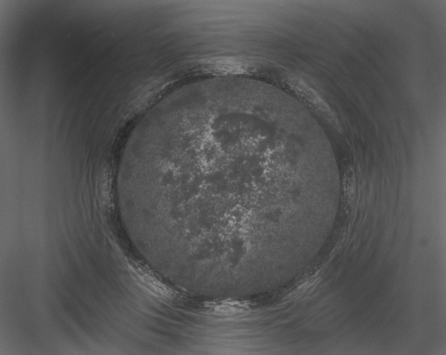 X0000084050359200702232357