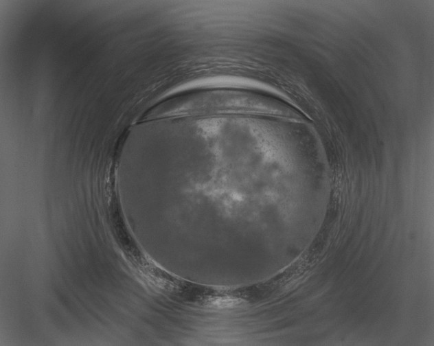 X0000084050360200702232357