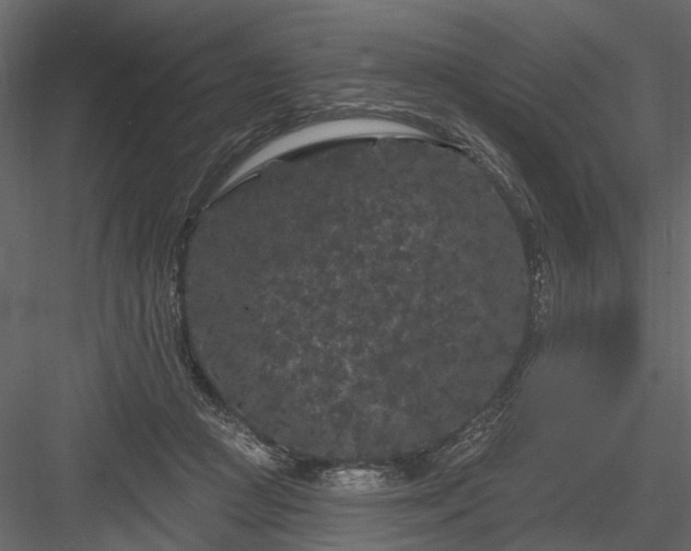 X0000084050361200702232357