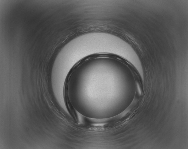 X0000084050362200702232357