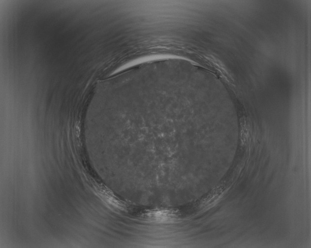 X0000084050365200702232357