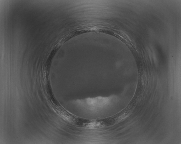 X0000084050366200702232357