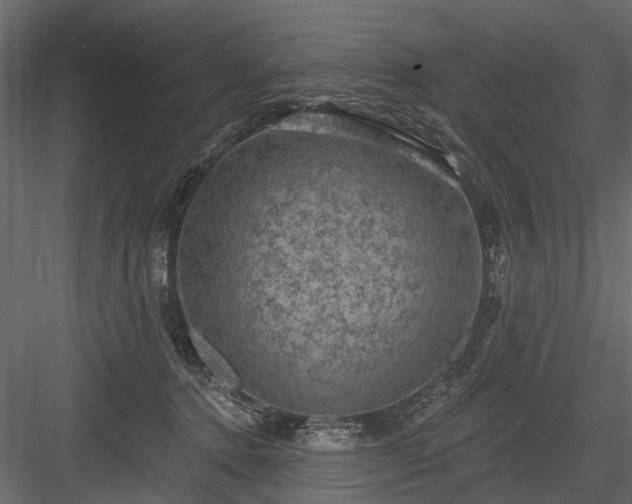 X0000084050368200702232357