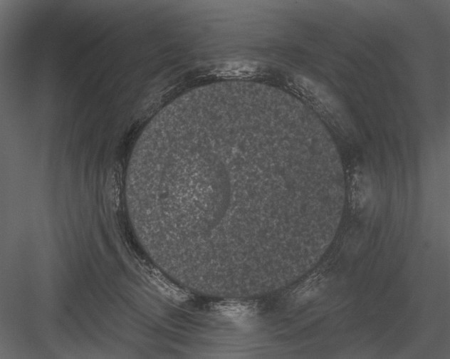 X0000084050370200702232358