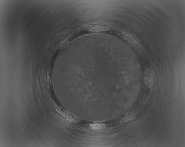 X0000084050371200702232358